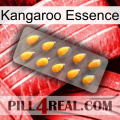 Kangaroo Essence cialis1